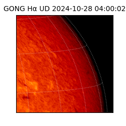 gong - 2024-10-28T04:00:02