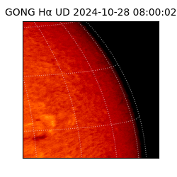 gong - 2024-10-28T08:00:02