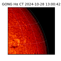 gong - 2024-10-28T13:00:42