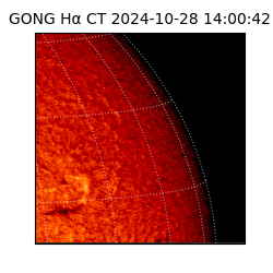 gong - 2024-10-28T14:00:42