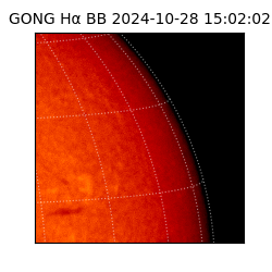 gong - 2024-10-28T15:02:02