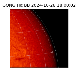 gong - 2024-10-28T18:00:02