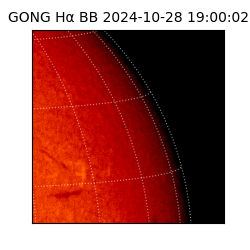 gong - 2024-10-28T19:00:02