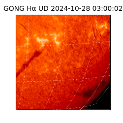 gong - 2024-10-28T03:00:02