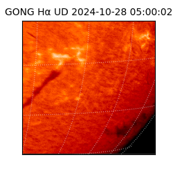 gong - 2024-10-28T05:00:02