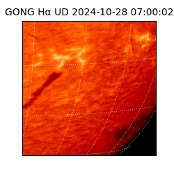 gong - 2024-10-28T07:00:02