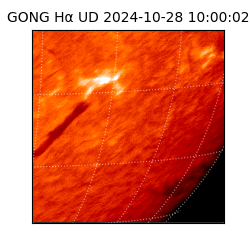 gong - 2024-10-28T10:00:02