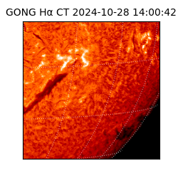 gong - 2024-10-28T14:00:42