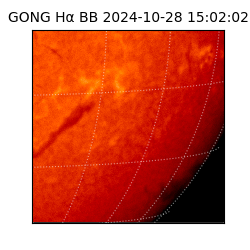 gong - 2024-10-28T15:02:02