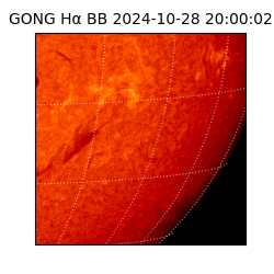 gong - 2024-10-28T20:00:02