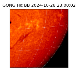 gong - 2024-10-28T23:00:02