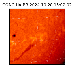 gong - 2024-10-28T15:02:02