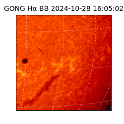 gong - 2024-10-28T16:05:02