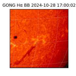 gong - 2024-10-28T17:00:02