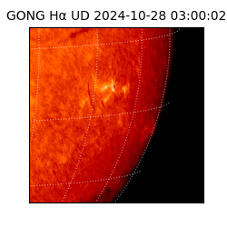 gong - 2024-10-28T03:00:02