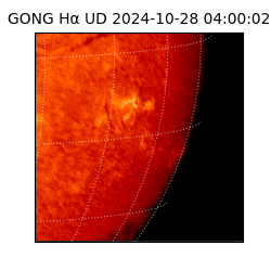 gong - 2024-10-28T04:00:02