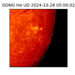 gong - 2024-10-28T05:00:02