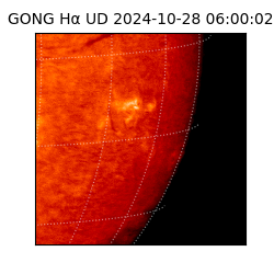 gong - 2024-10-28T06:00:02