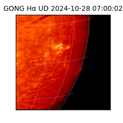 gong - 2024-10-28T07:00:02