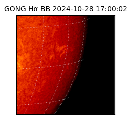 gong - 2024-10-28T17:00:02