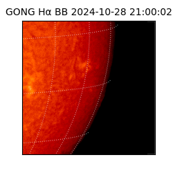 gong - 2024-10-28T21:00:02