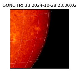 gong - 2024-10-28T23:00:02