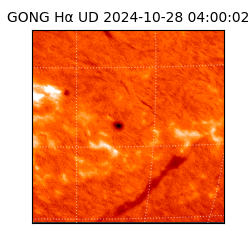 gong - 2024-10-28T04:00:02