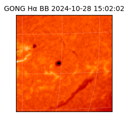 gong - 2024-10-28T15:02:02