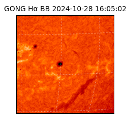 gong - 2024-10-28T16:05:02