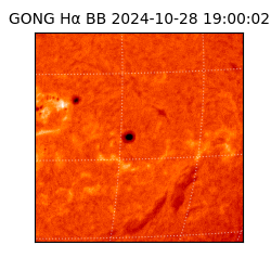 gong - 2024-10-28T19:00:02