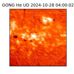 gong - 2024-10-28T04:00:02