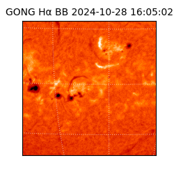 gong - 2024-10-28T16:05:02