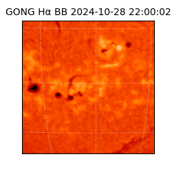 gong - 2024-10-28T22:00:02