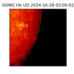 gong - 2024-10-28T03:00:02