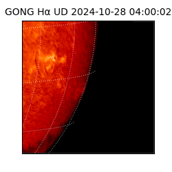 gong - 2024-10-28T04:00:02