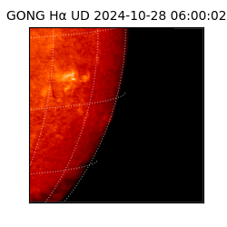 gong - 2024-10-28T06:00:02