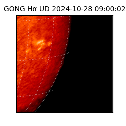 gong - 2024-10-28T09:00:02