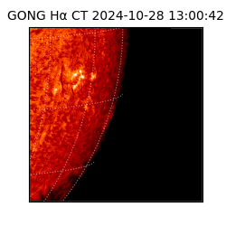 gong - 2024-10-28T13:00:42