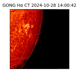 gong - 2024-10-28T14:00:42