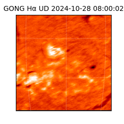 gong - 2024-10-28T08:00:02