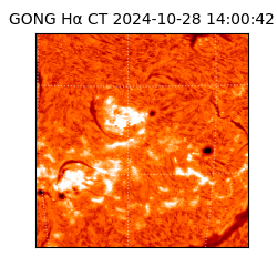 gong - 2024-10-28T14:00:42
