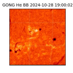 gong - 2024-10-28T19:00:02