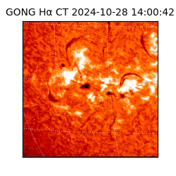 gong - 2024-10-28T14:00:42