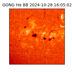 gong - 2024-10-28T16:05:02