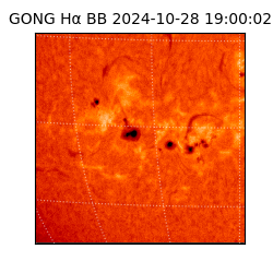 gong - 2024-10-28T19:00:02