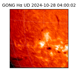 gong - 2024-10-28T04:00:02