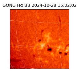 gong - 2024-10-28T15:02:02