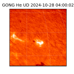 gong - 2024-10-28T04:00:02