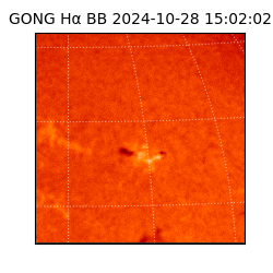 gong - 2024-10-28T15:02:02