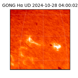 gong - 2024-10-28T04:00:02